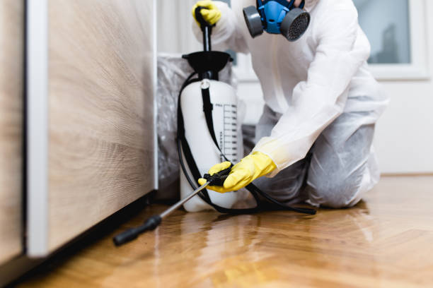 Best Ant Control Services  in Buchanan, MI