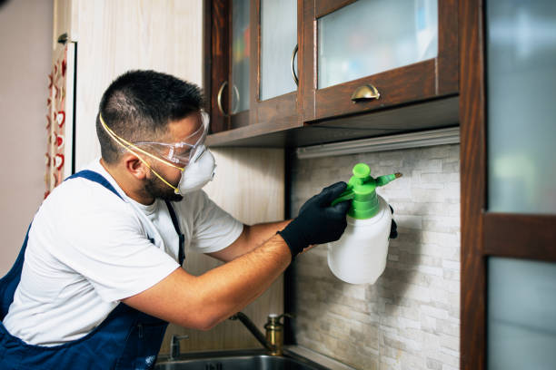 Best Affordable Pest Control Services  in Buchanan, MI