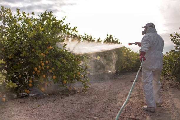 Best Cockroach Control Services  in Buchanan, MI