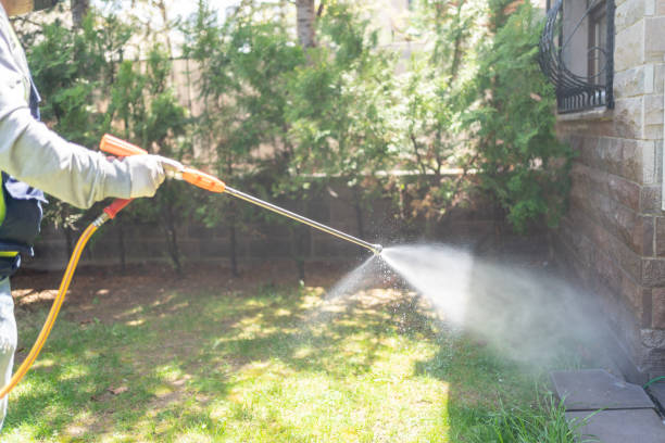 Best Mosquito Control Services  in Buchanan, MI