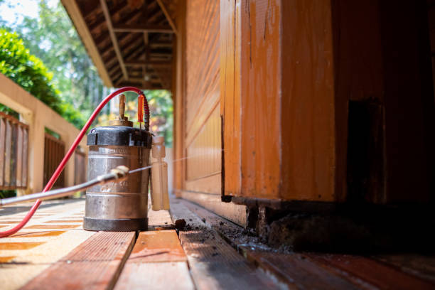 Best Wasp Removal Services  in Buchanan, MI