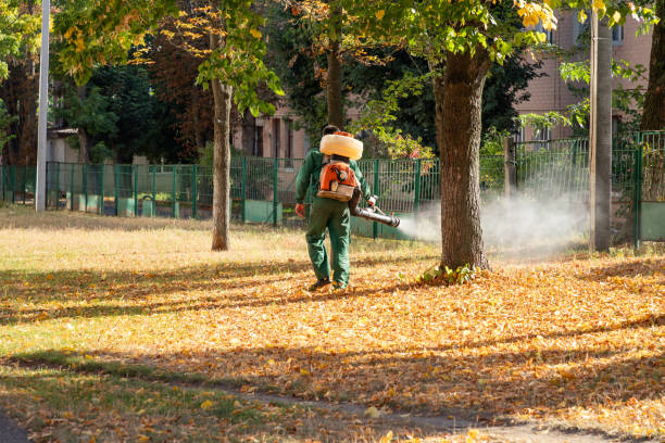 Wasp Removal Services in Buchanan, MI