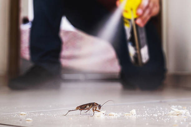 Best Commercial Pest Control Services  in Buchanan, MI